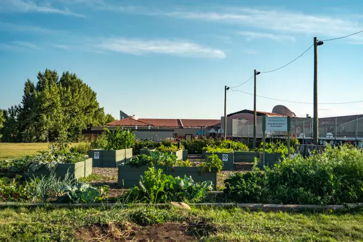 Millrise community in Calgary